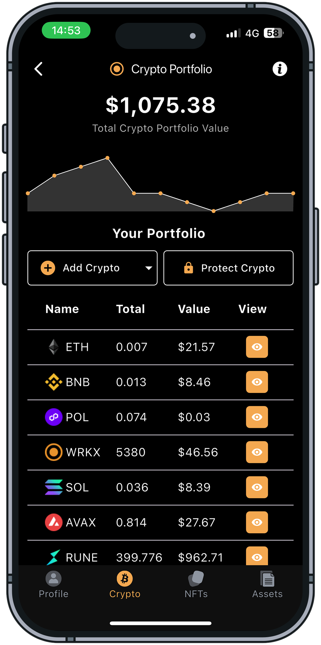 Digital Asset Portfolio